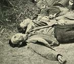 dead confederate soldiers at Spotsylvania, VA