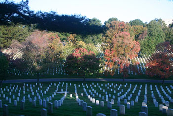 Spring in Arlington National Cemetery